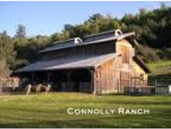 Summer Adventure Camp at Connolly Ranch for Calistoga & St. Helena Family Centers