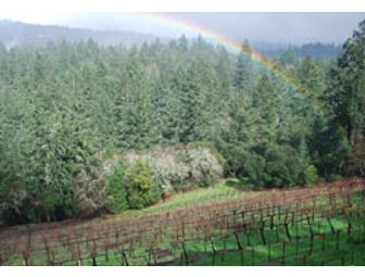 Benchmark of Quality--Herb Lamb Vineyards for Calistoga & St. Helena Family Centers