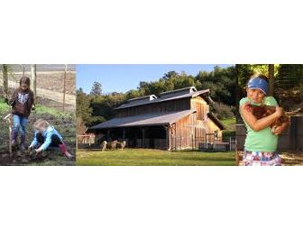 Connolly Ranch Summer Adventure Camp, benefiting Calistoga and St. Helena Family Centers