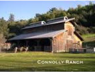 Connolly Ranch Summer Adventure Camp, benefiting Calistoga and St. Helena Family Centers