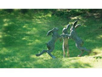 Dancing Hares Vineyards -- A Dance for Joy! Benefiting Calistoga & St. Helena Family Ctrs