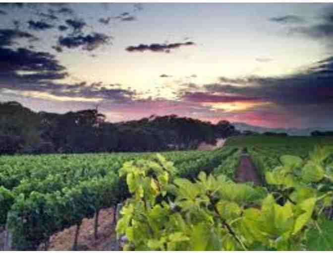 A Meteor Shower-- Six Vintages from Meteor Vineyard