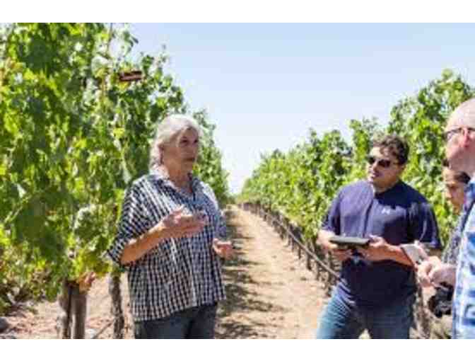 A Meteor Shower-- Six Vintages from Meteor Vineyard