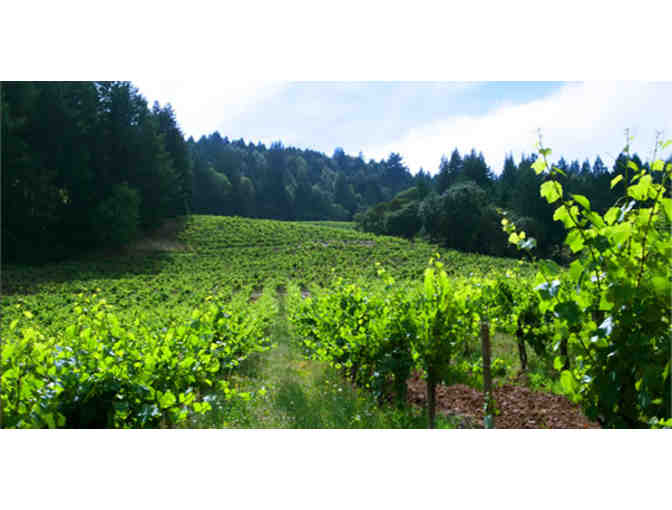 Chardonnay Royalty -- A Vertical from Stony Hill Vineyard -- 2009, 2010, 2011