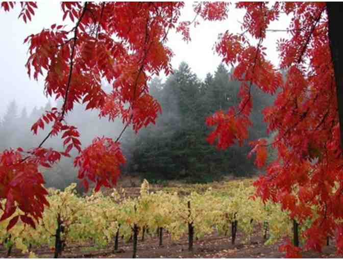 Chardonnay Royalty -- A Vertical from Stony Hill Vineyard -- 2009, 2010, 2011