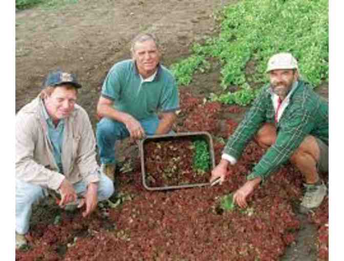 Fantastic Times with Genevieve Welsh and Thomas Brown