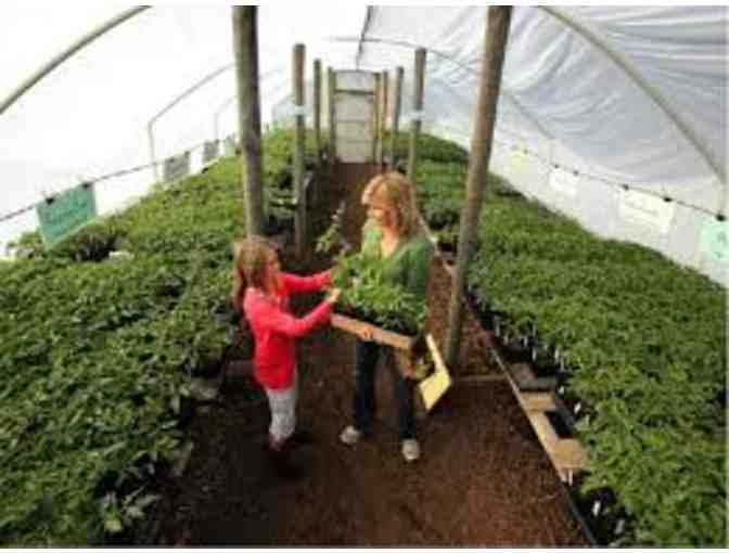 Fantastic Times with Genevieve Welsh and Thomas Brown