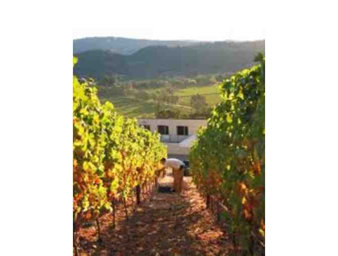 Celebrate with a Vertical from the Wine Library of Vineyard 29