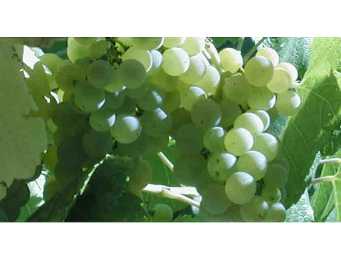 Chardonnay Royalty -- A Vertical from Stony Hill Vineyard (2), 2009, 2010, 2011