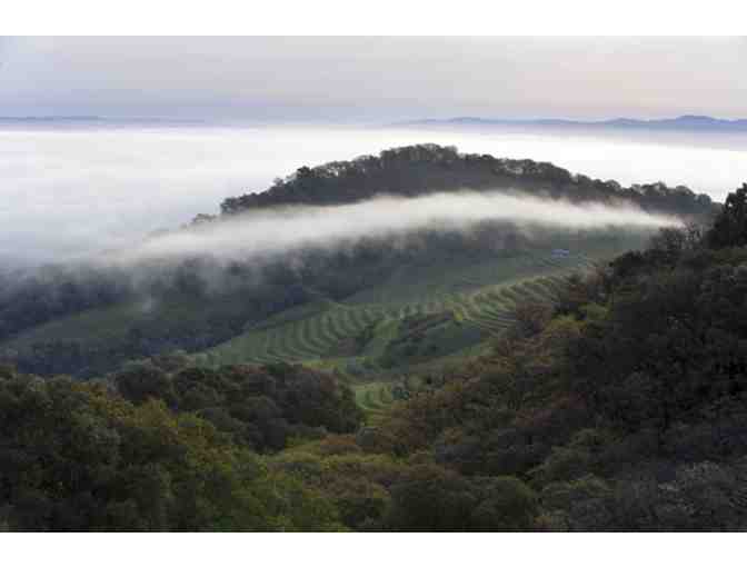 Cain Vineyard & Winery -- Top of the World