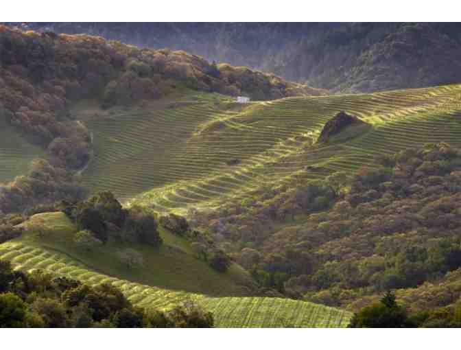Cain Vineyard & Winery -- Top of the World