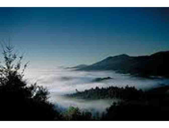 Diamond Mountain District -- Big Gems from Napa Valley's Smallest AVA