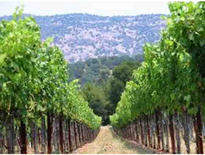 Diamond Mountain District -- Big Gems from Napa Valley's Smallest AVA