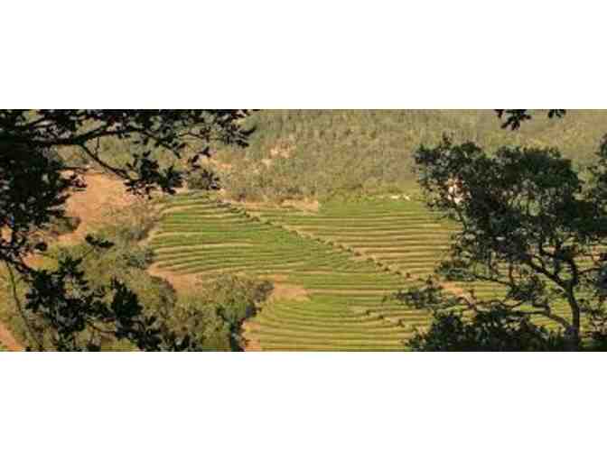 Diamond Mountain District -- Big Gems from Napa Valley's Smallest AVA