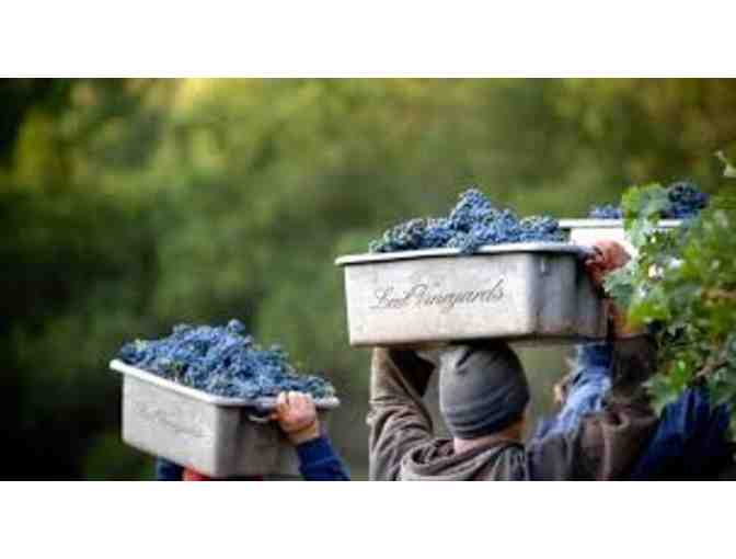 Collector's Alert:  One 3 Litre 2007 Lail Vineyards, Mole Hill Cabernet Sauvignon