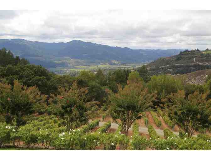 Collector's Alert:  One 3 Litre 2007 Lail Vineyards, Mole Hill Cabernet Sauvignon