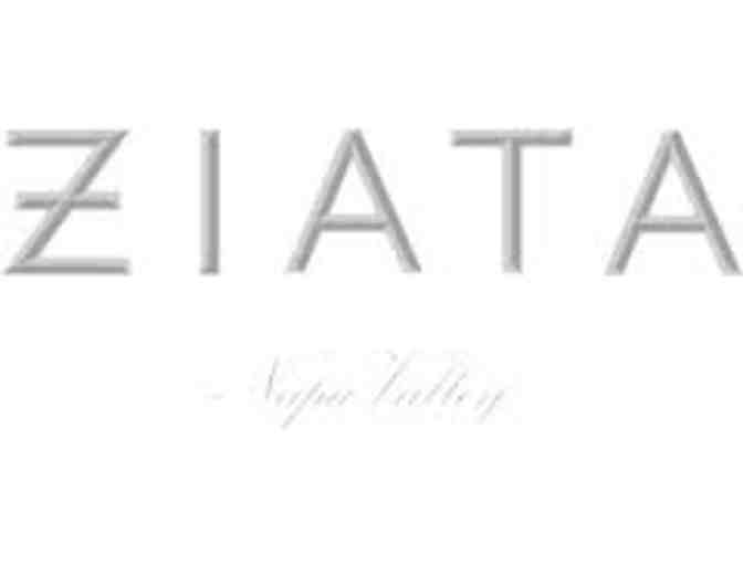 Beautiful Wines From Ziata