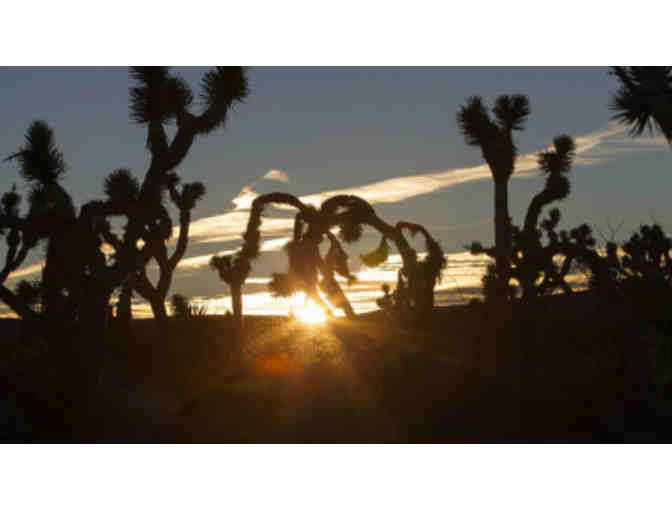 A Heavenly Stay at Canyon Ranch, Arizona, for 7 days and 6 nights