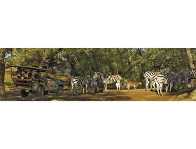 Safari West--The Spirit of Africa, in the Wine Country