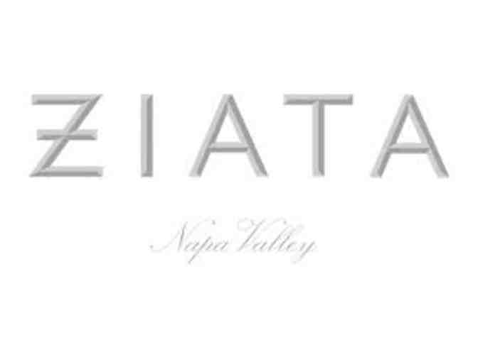 A to Z -- A Complete Ziata Portfolio