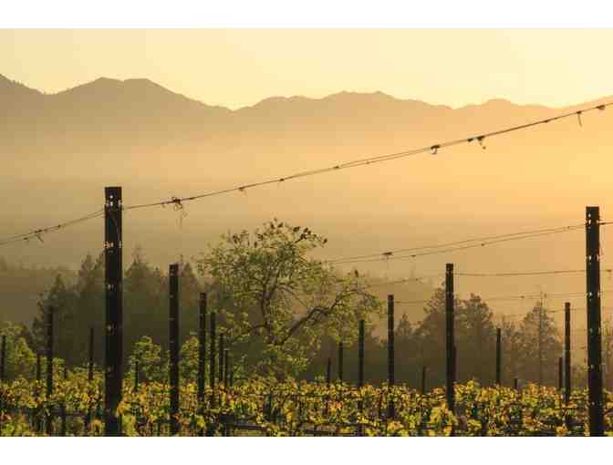 Theorem Vineyards -- Beauty and Spirit in a Magical Wine, for Four Guests