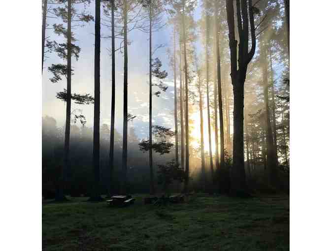 Mendocino Grove Getaway