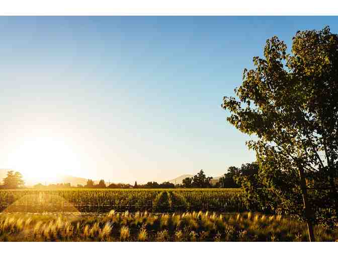 An Afternoon at Wheeler Farms -- The Pursuit of Excellence