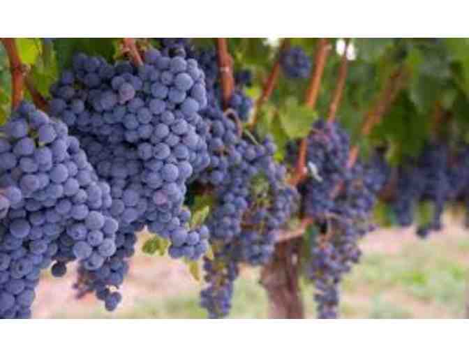 Jones Family Vineyards Cabernet Sauvignon, in Magnum