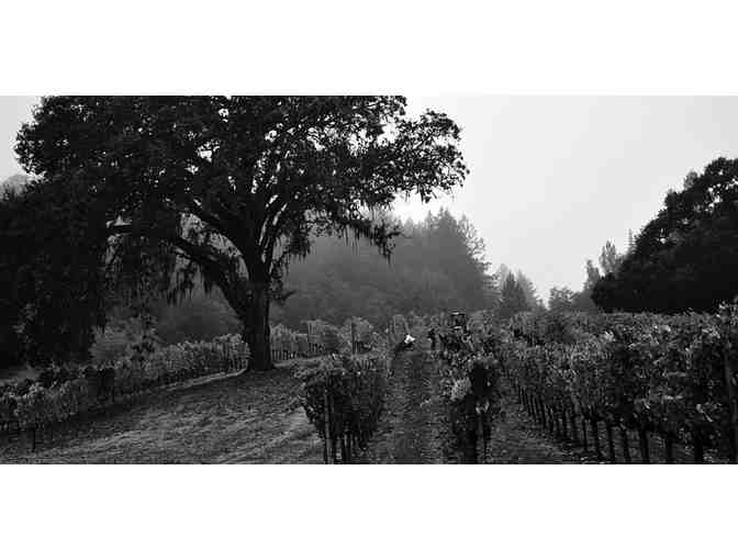 Entre Deux Meres -- A Vertical of 2010-2015