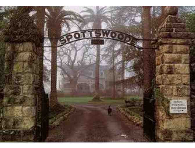 Perfection: a Vertical of Spottswoode