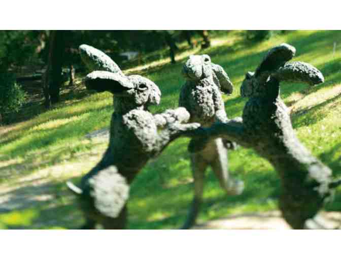 Dancing Hares, 2003