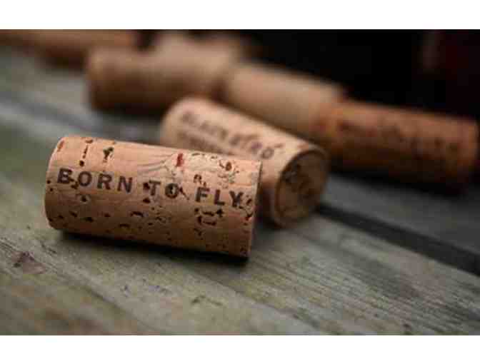 Blackbird Vineyards -- 2010 Illustration in 3 Litre Format