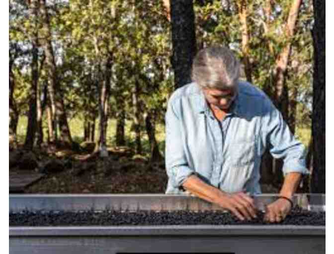 Dyer Vineyards -- A Gem from Diamond Mountain