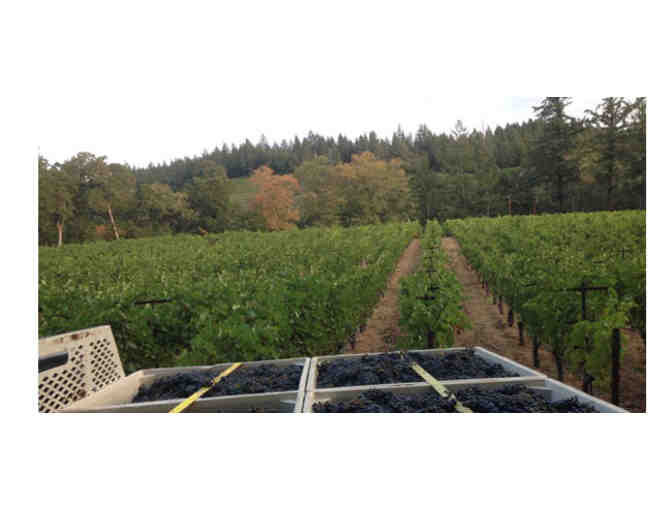 Dyer Vineyards -- A Gem from Diamond Mountain