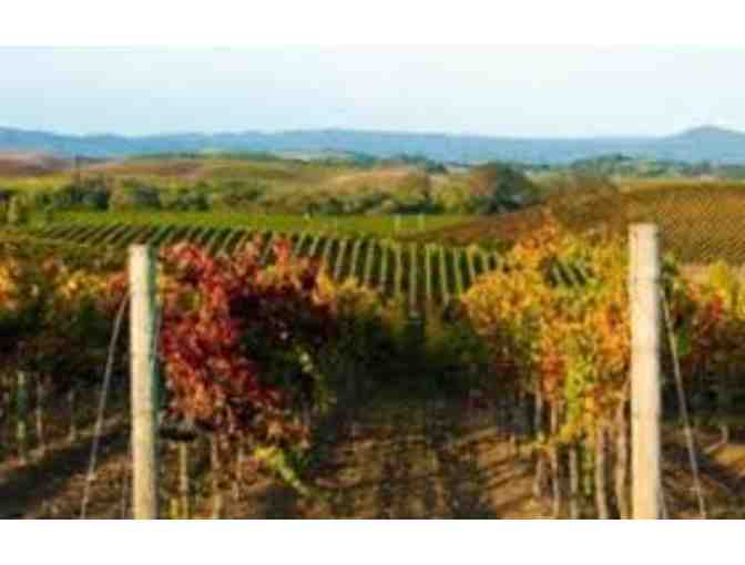 A Journey of Discovery--Cuvaison Wines and VinGarde Wine Valise