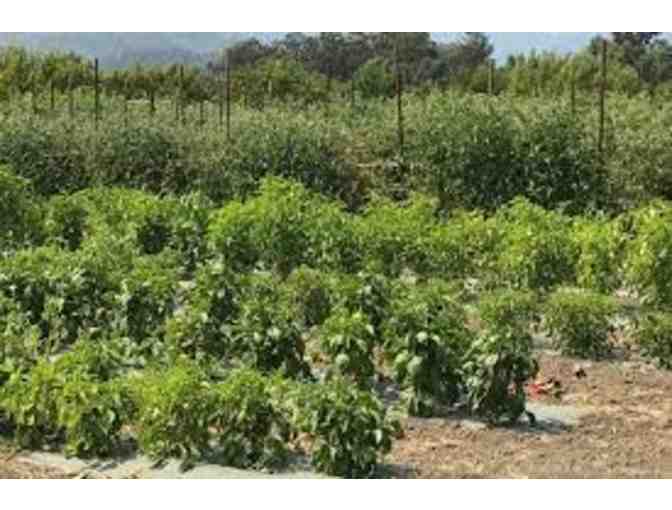 Excellence Through Responsible Farming -- Lunch for 6 at Farmstead Restaurant