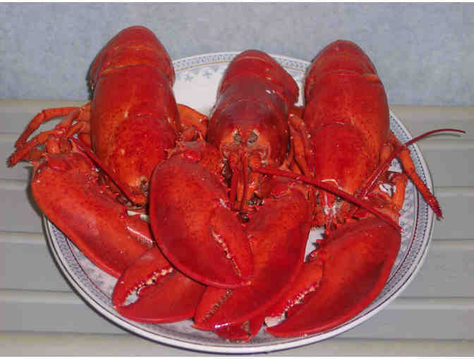 Lobster Dinner for 2 at Port Lobster Kennebunkport