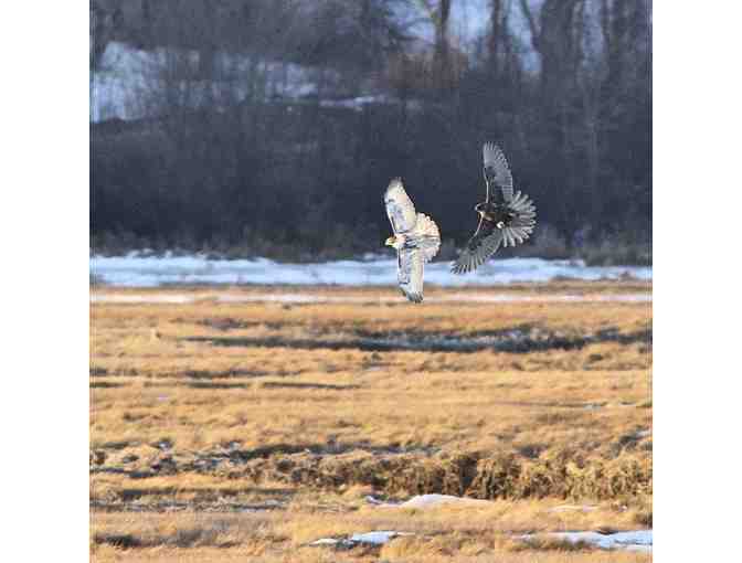 Maine Audubon Household Membership
