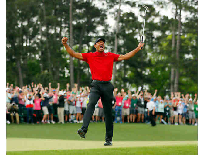Tiger Woods Photograph - Signed