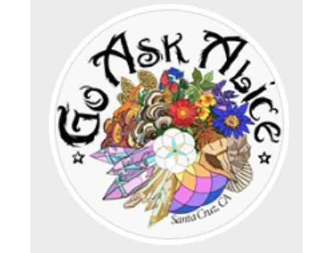 1/2 Hour Tarot Reading at Go Ask Alice with Marcia Hughes