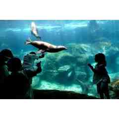 Aquarium of the Pacific