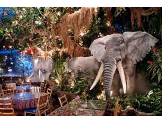Rain Forest Cafe $10 Gift Card