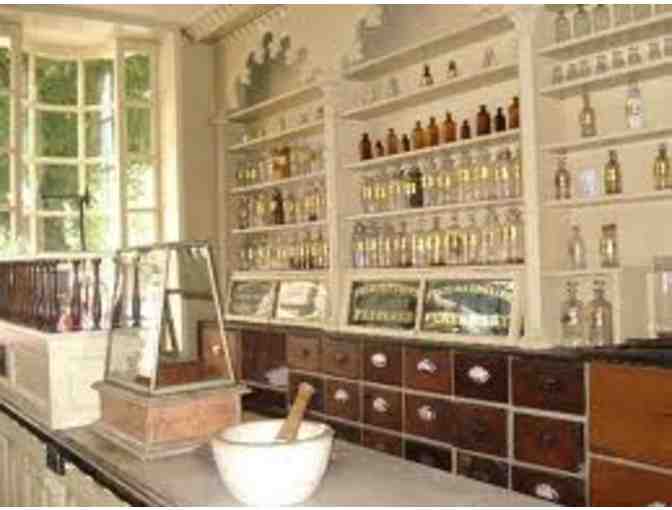 Two Tours of Alexandria PLUS a Tour Book