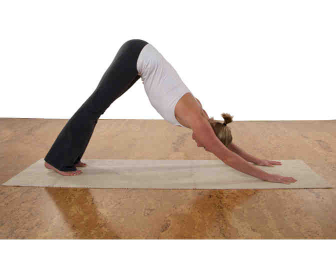 10-Class Yoga Pass at DownDog Yoga