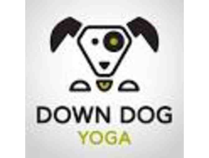 10-Class Yoga Pass at DownDog Yoga
