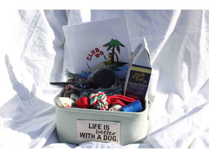 Club K-9 'While You're Away, Your Dog's At Play!'