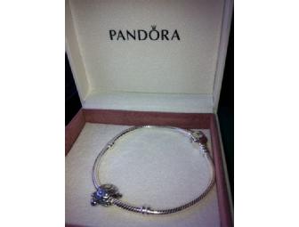 Pandora Silver Bracelet with Turtle Charm
