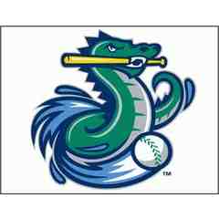 Vermont Lake Monsters