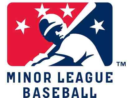 NJ/NY Minor League Baseball Experience