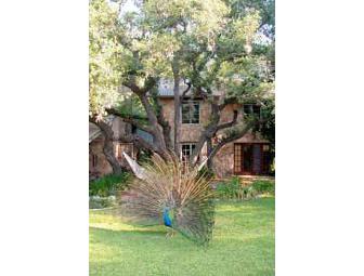 Red Corral Ranch - Two Weeknights for Two Guests in Wimberley, Texas
